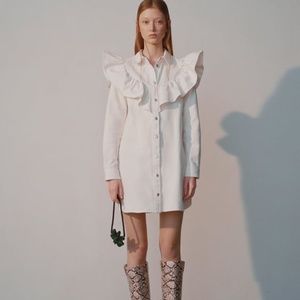 ZARA Denim Shirt Collar Mini Dress